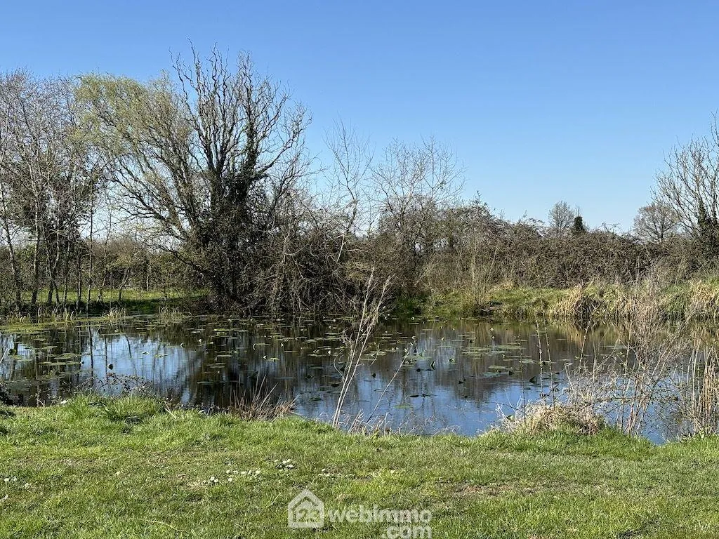 A vendre ensemble de deux maisons à La Puye - 265 m² habitable sur 2,2 ha 