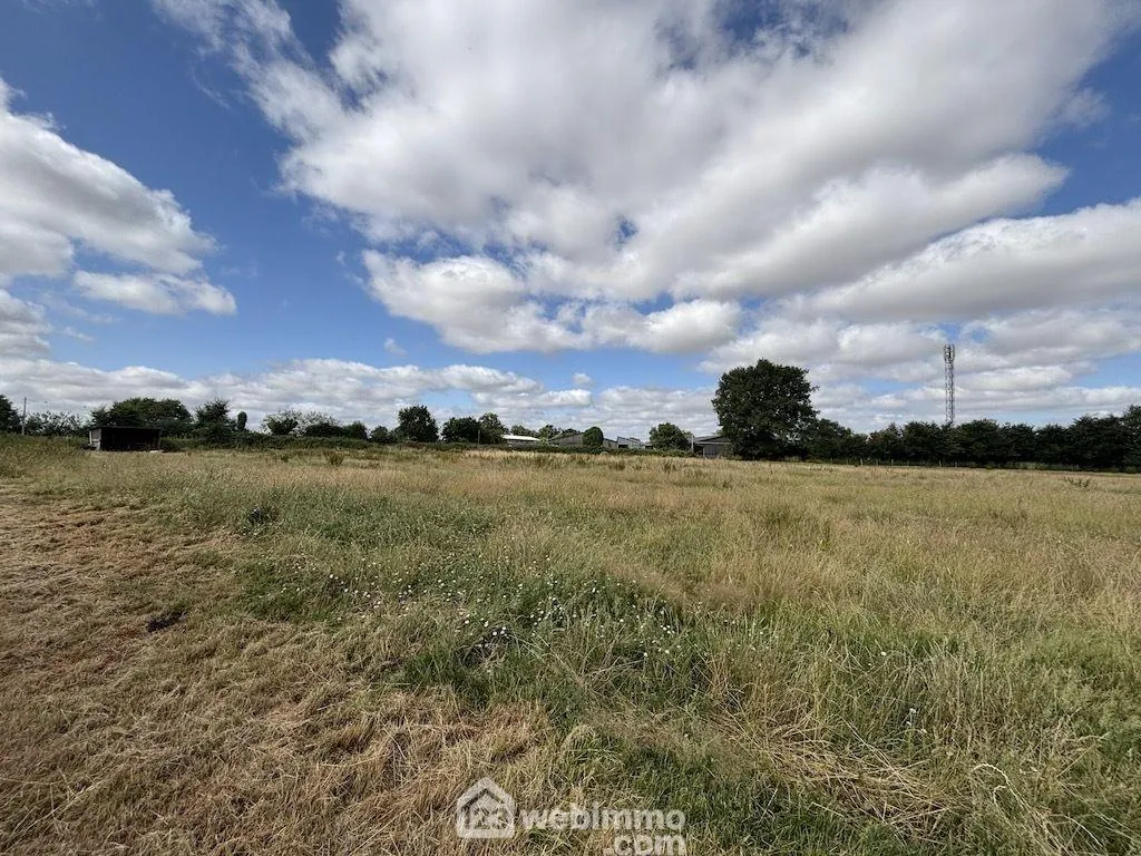A vendre ensemble de deux maisons à La Puye - 265 m² habitable sur 2,2 ha 