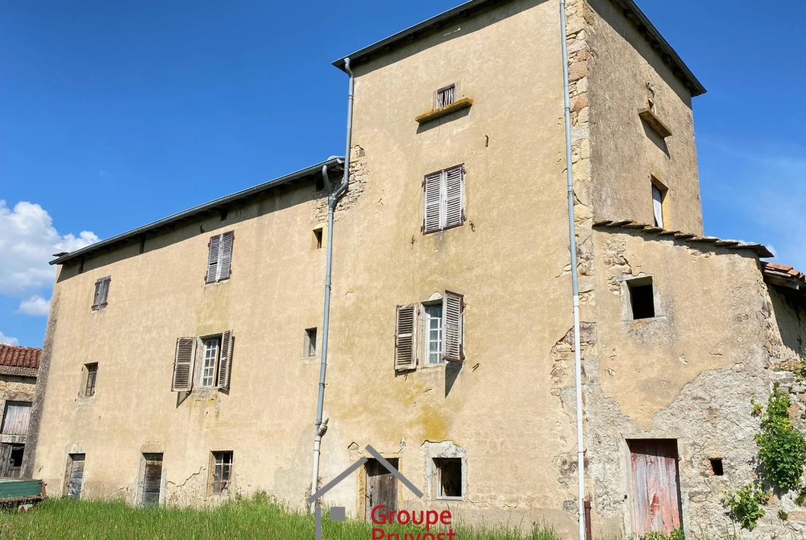 Belle propriété ancienne à Bourgvilain avec dépendances et terrain de plus d'un hectare 