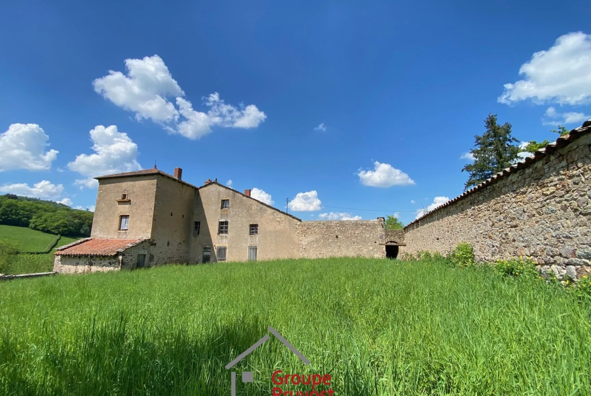 Belle propriété ancienne à Bourgvilain avec dépendances et terrain de plus d'un hectare 