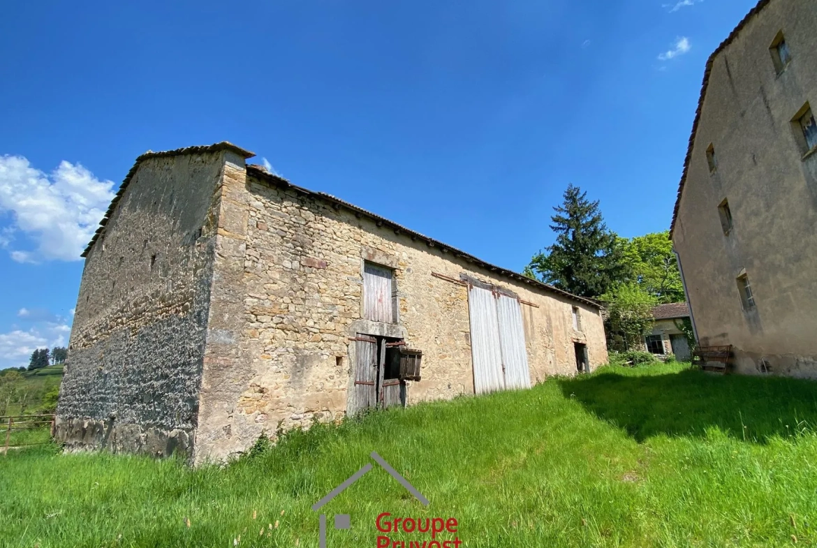Belle propriété ancienne à Bourgvilain avec dépendances et terrain de plus d'un hectare 