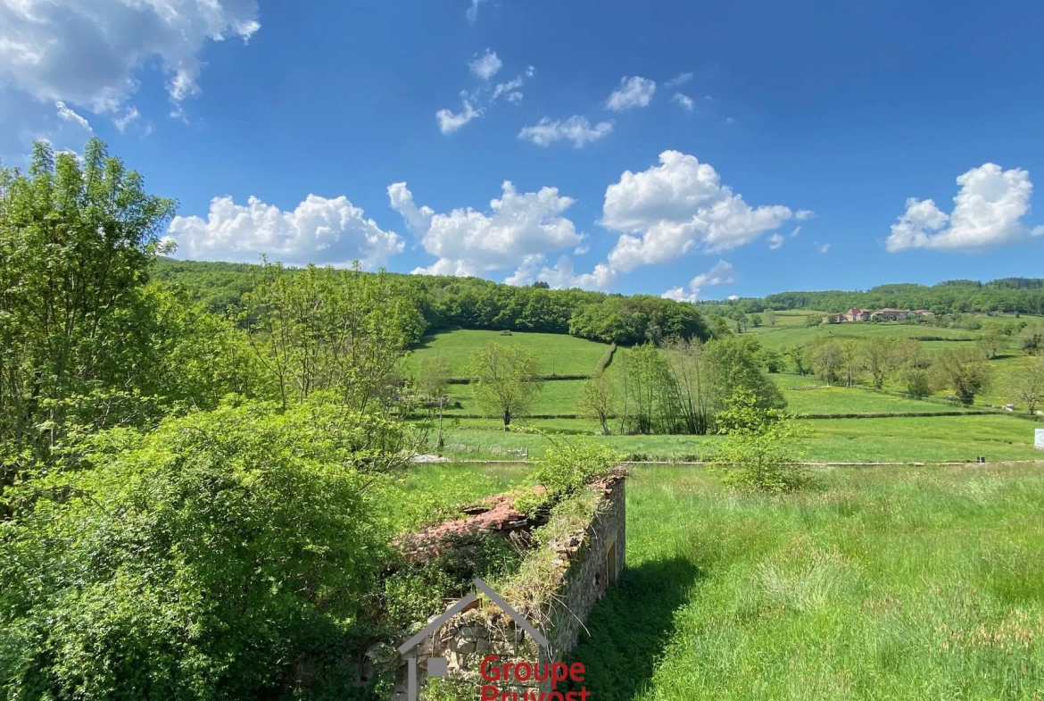 Belle propriété ancienne à Bourgvilain avec dépendances et terrain de plus d'un hectare 