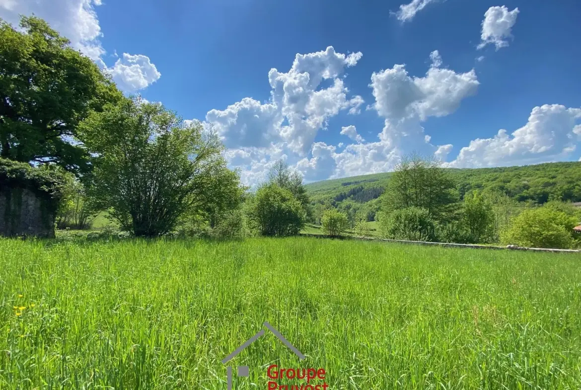 Belle propriété ancienne à Bourgvilain avec dépendances et terrain de plus d'un hectare 