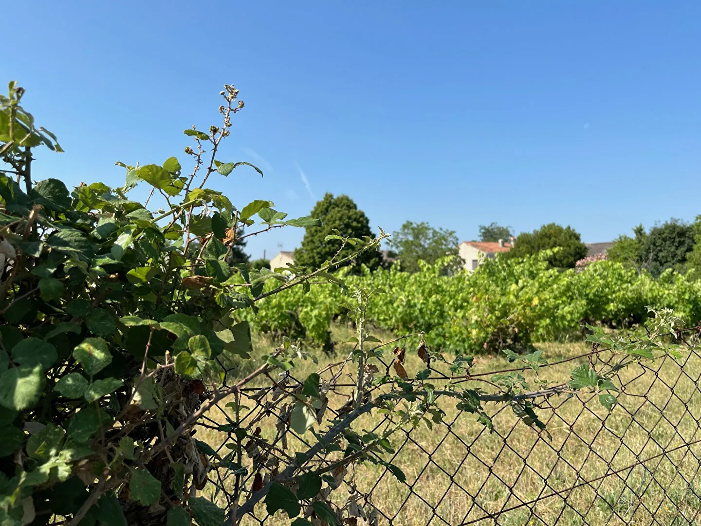 Terrain constructible de 173 m² à Pertuis dans un lotissement proche du centre-ville 