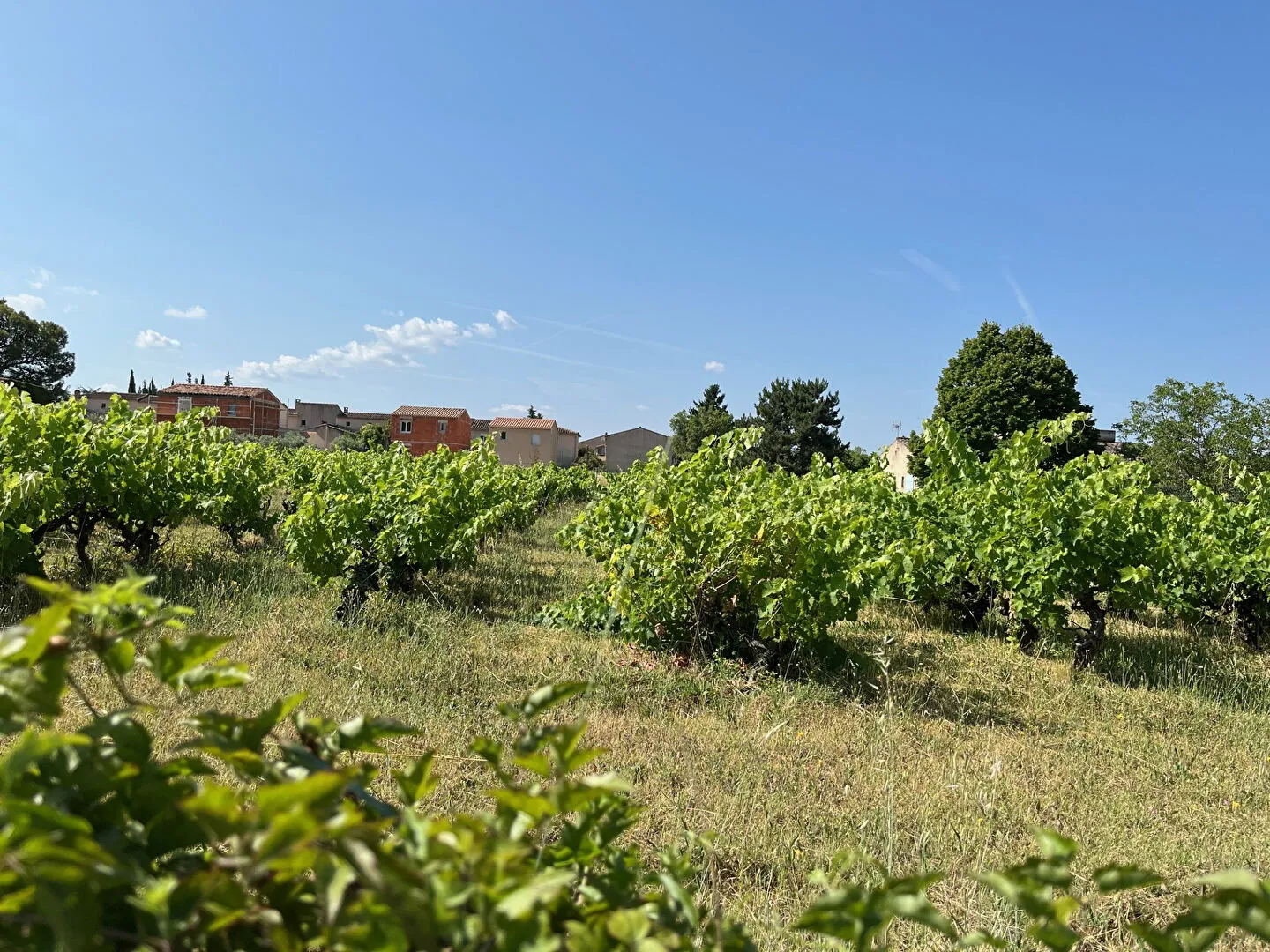 Terrain constructible de 173 m² à Pertuis dans un lotissement proche du centre-ville 