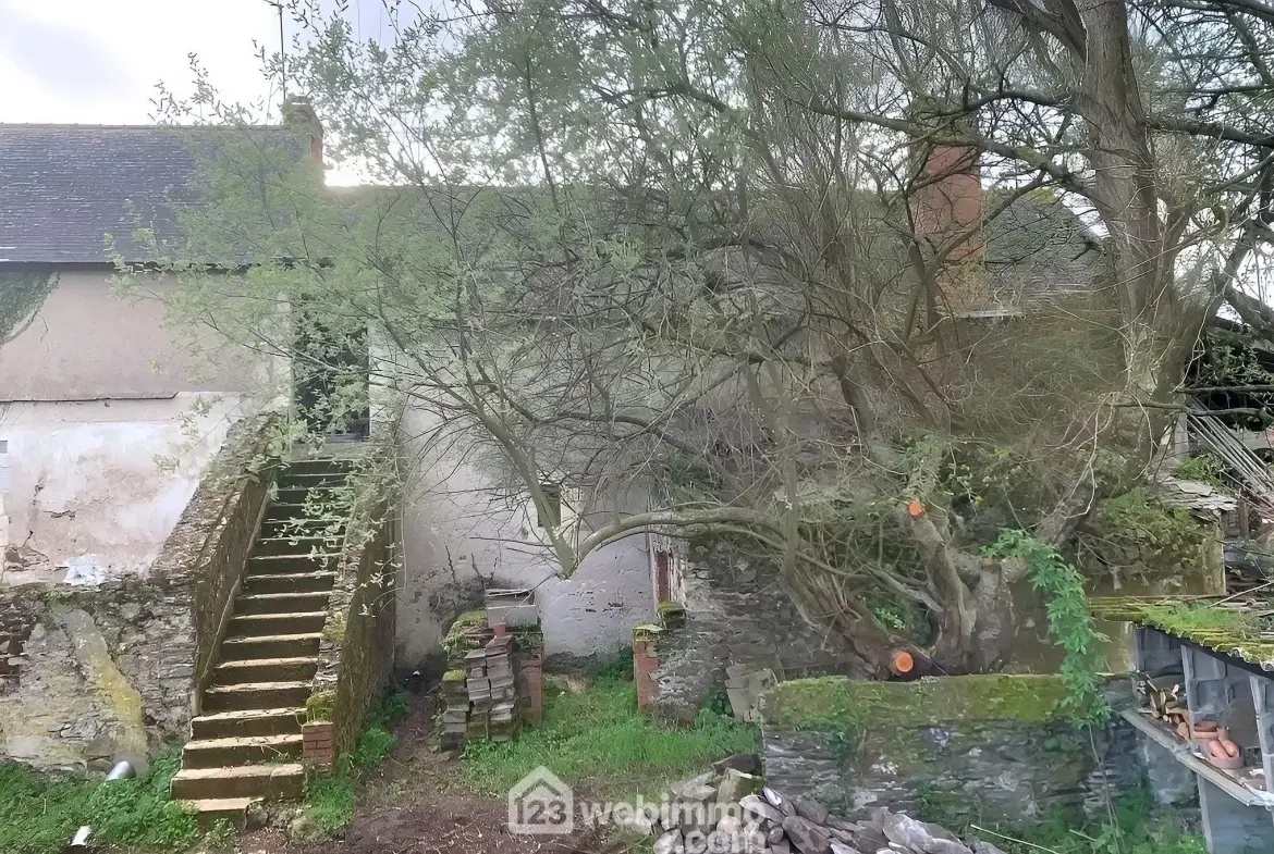 Longère à restaurer en bord de Loire avec grand terrain à Saint-Georges-sur-Loire 