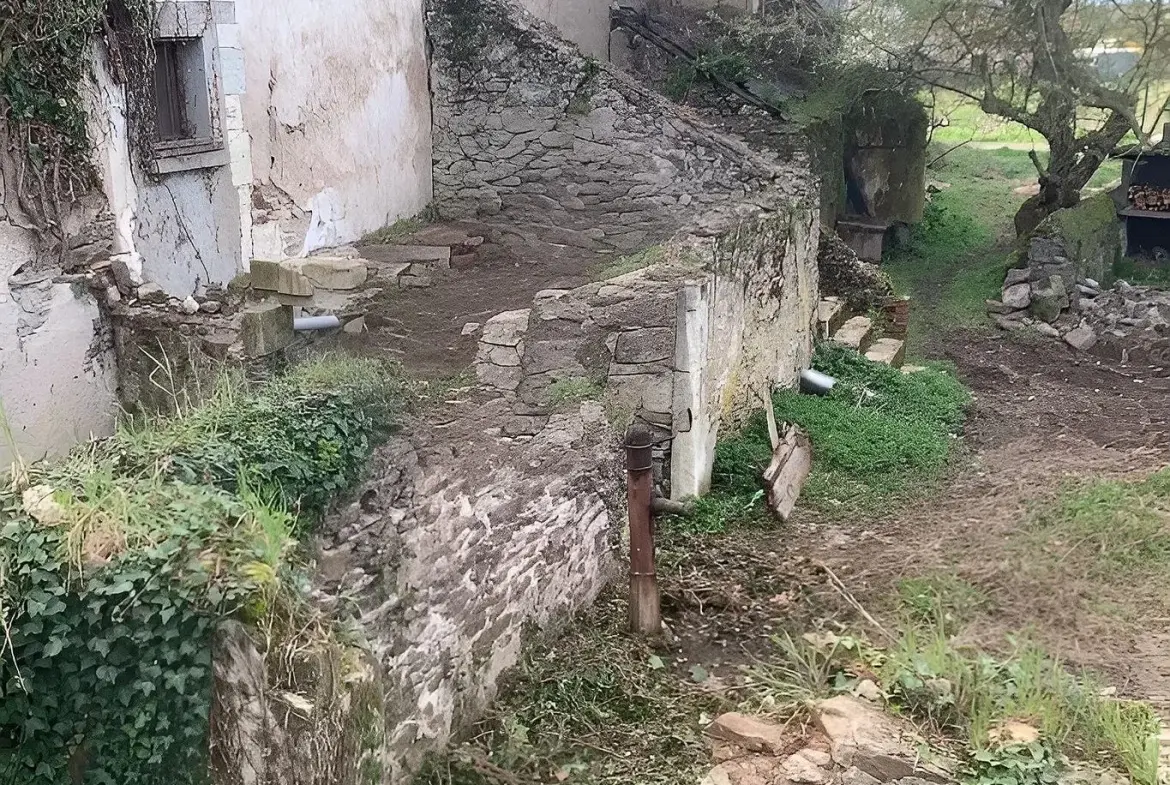 Longère à restaurer en bord de Loire avec grand terrain à Saint-Georges-sur-Loire 