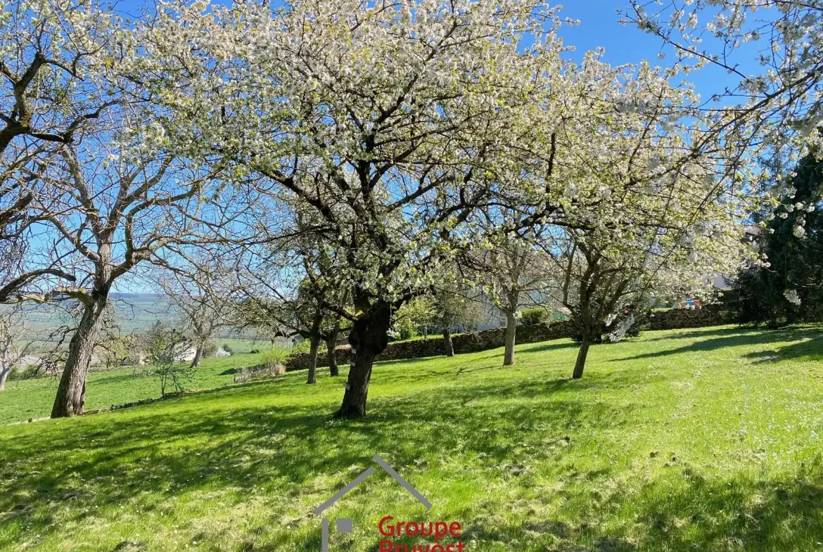 Ensemble immobilier à rénover à Cluny avec terrain arboré et vue dégagée 