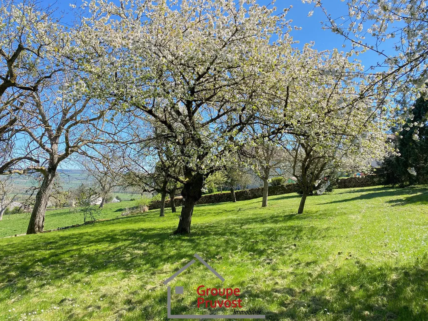 Ensemble immobilier à rénover à Cluny avec terrain arboré et vue dégagée 