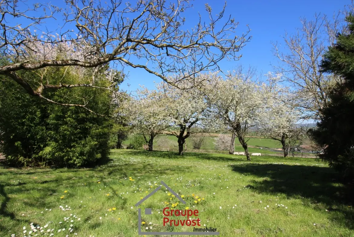Ensemble immobilier à rénover à Cluny avec terrain arboré et vue dégagée 