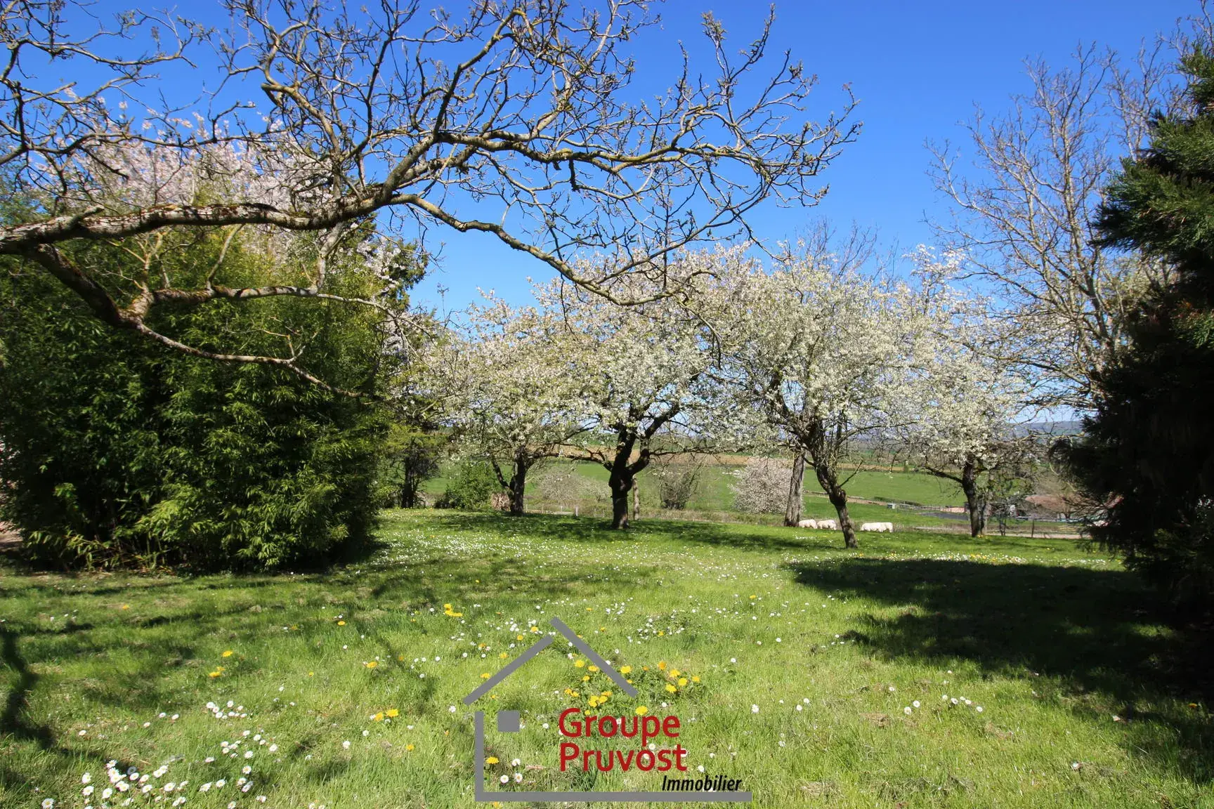 Ensemble immobilier à rénover à Cluny avec terrain arboré et vue dégagée 