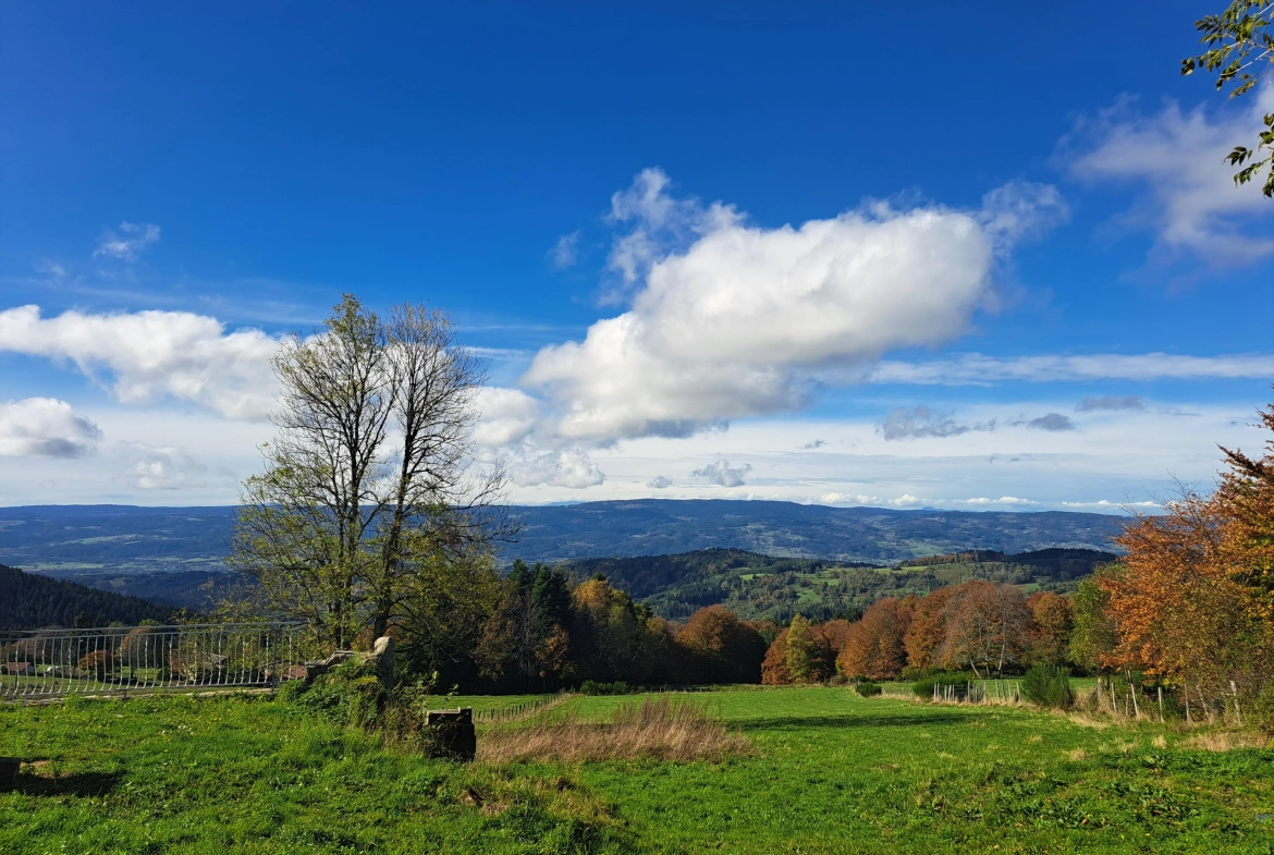 Maison en pierre avec vue panoramique sur le Forez – 4494 m² de terrain à Ambert 
