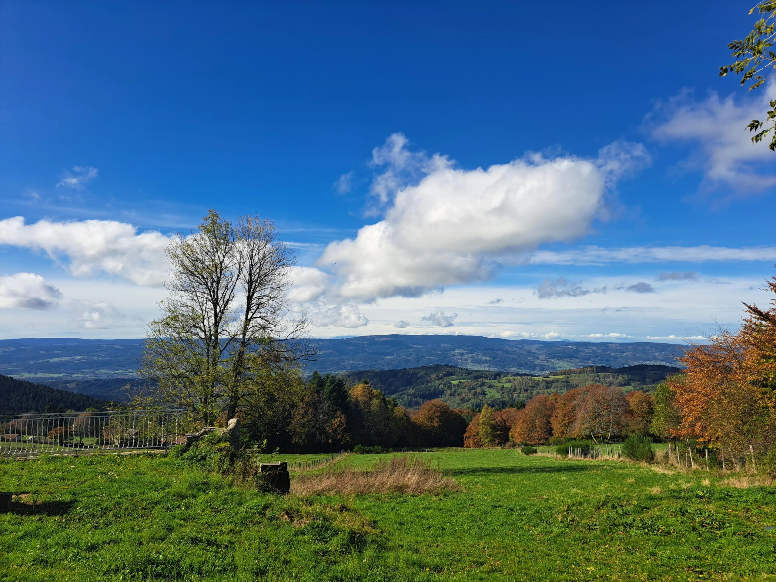 Maison en pierre avec vue panoramique sur le Forez – 4494 m² de terrain à Ambert 