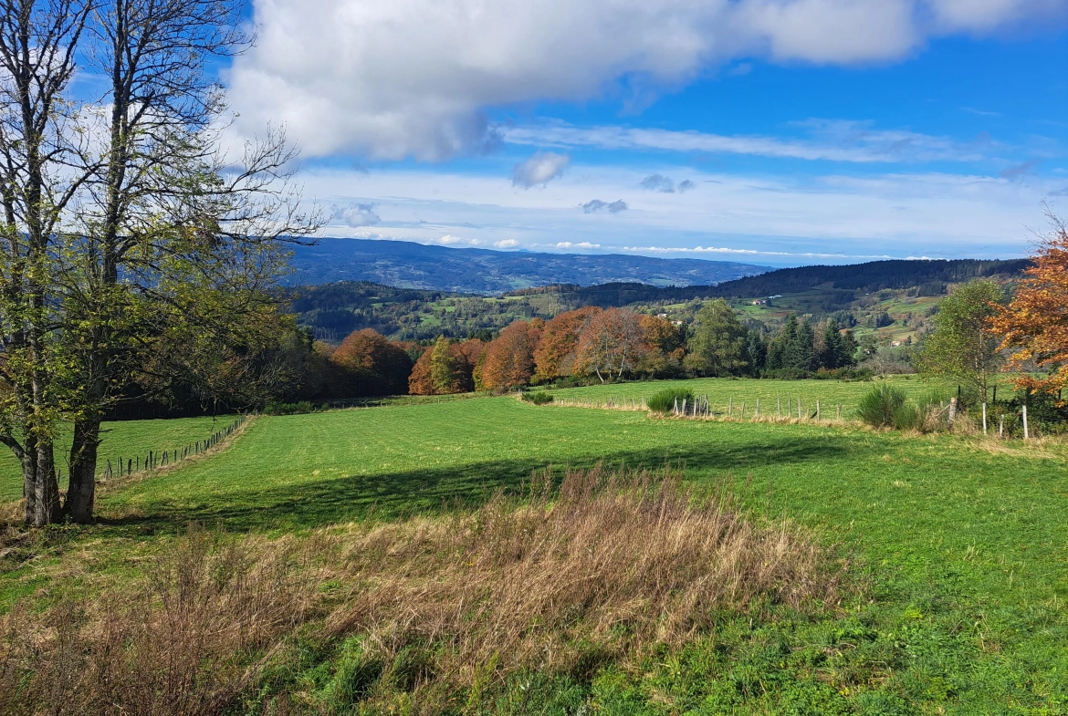 Maison en pierre avec vue panoramique sur le Forez – 4494 m² de terrain à Ambert 
