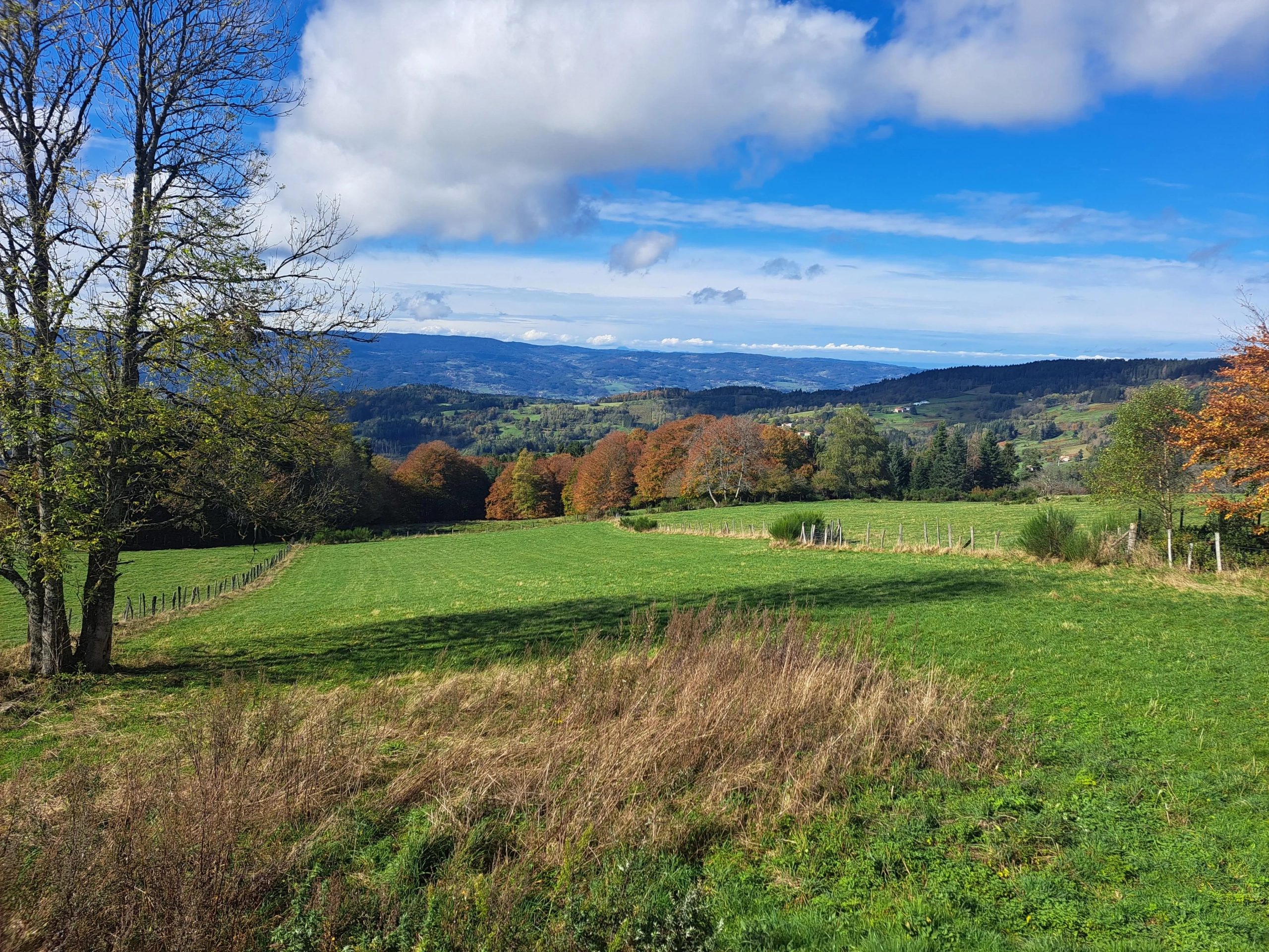 Maison en pierre avec vue panoramique sur le Forez – 4494 m² de terrain à Ambert 