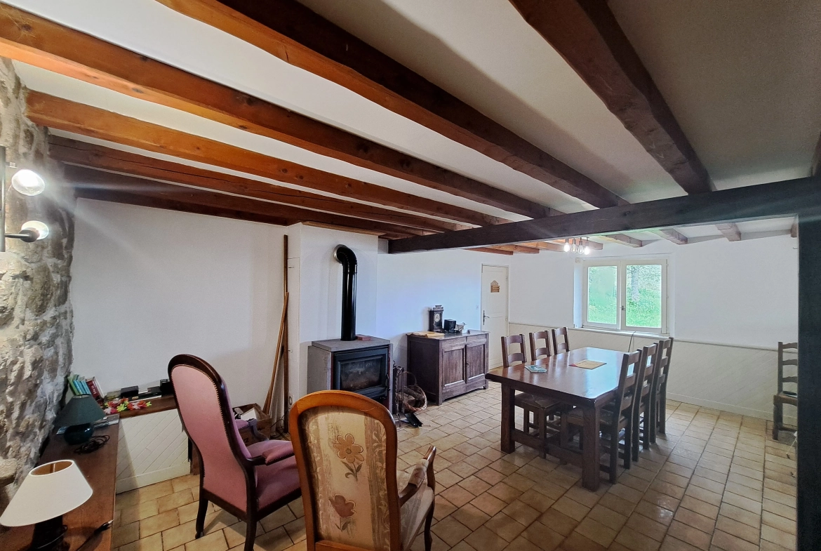 Maison en pierre avec vue panoramique sur le Forez – 4494 m² de terrain à Ambert 