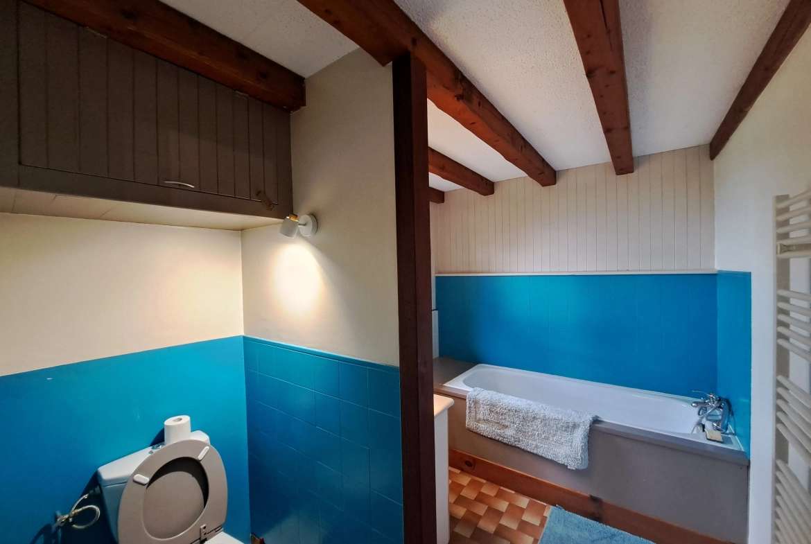 Maison en pierre avec vue panoramique sur le Forez – 4494 m² de terrain à Ambert 