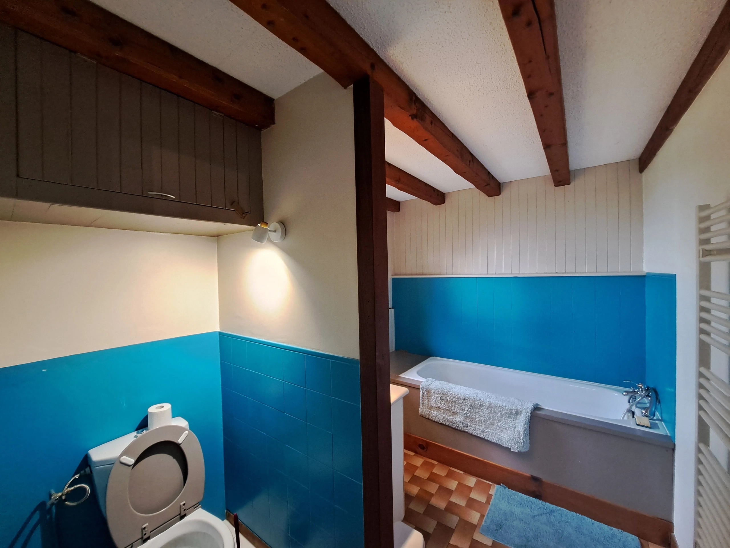 Maison en pierre avec vue panoramique sur le Forez – 4494 m² de terrain à Ambert 