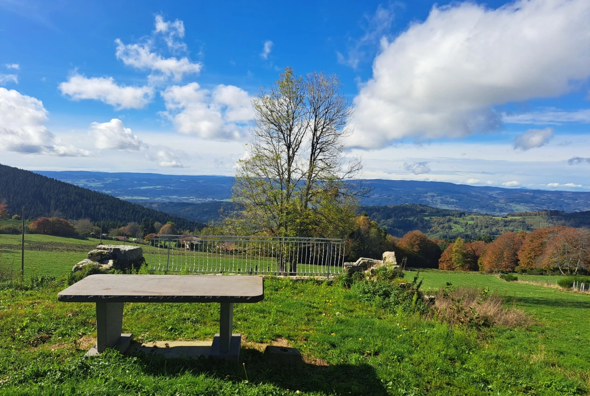 Maison en pierre avec vue panoramique sur le Forez – 4494 m² de terrain à Ambert 