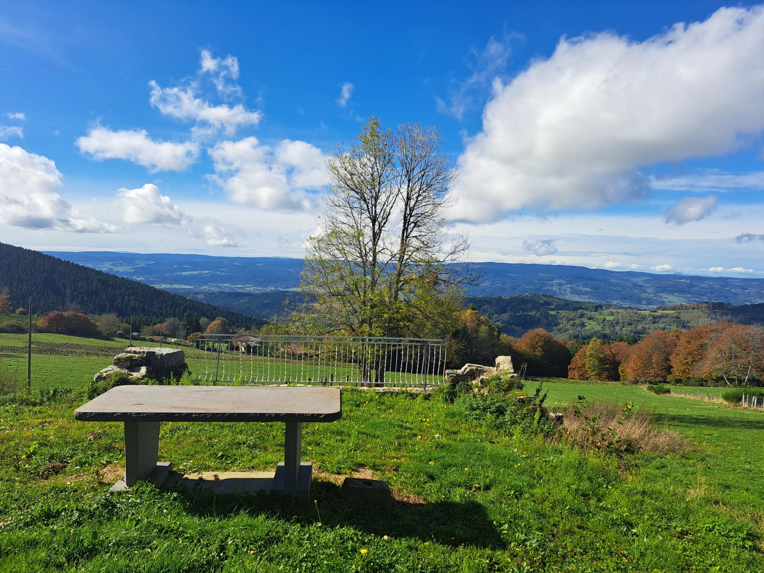 Maison en pierre avec vue panoramique sur le Forez – 4494 m² de terrain à Ambert 