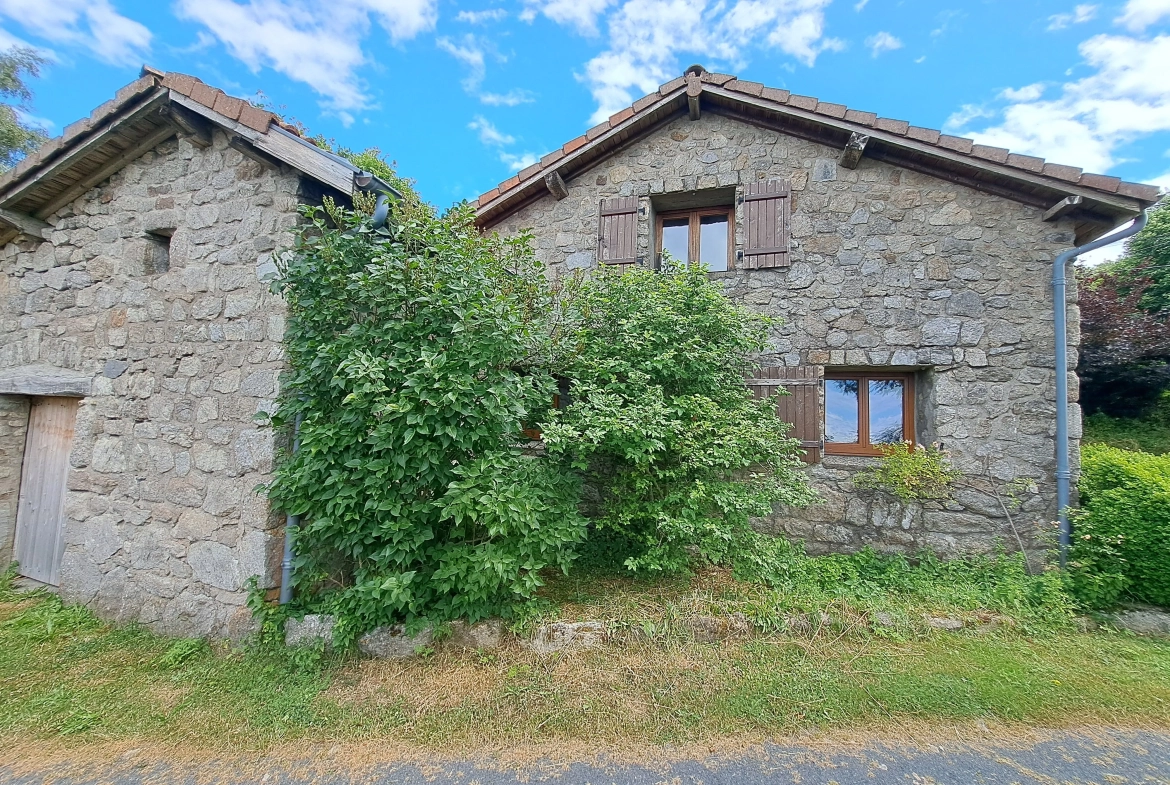 Maison en pierre avec vue panoramique sur le Forez – 4494 m² de terrain à Ambert 