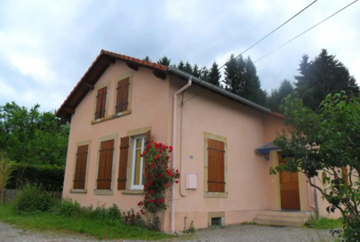 Maison à Épinal de 5 chambres avec grand terrain – Idéalement située 