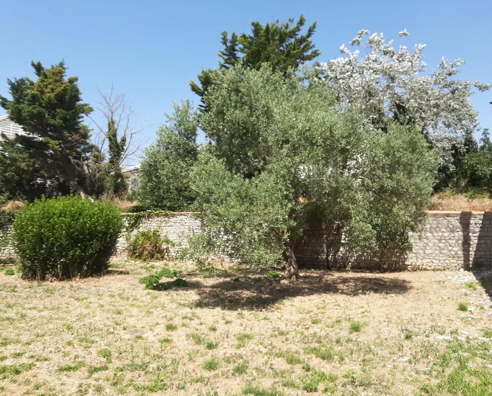 Terrain à bâtir de 330 m² à La Rochelle, emplacement privilégié sur la Pallice 
