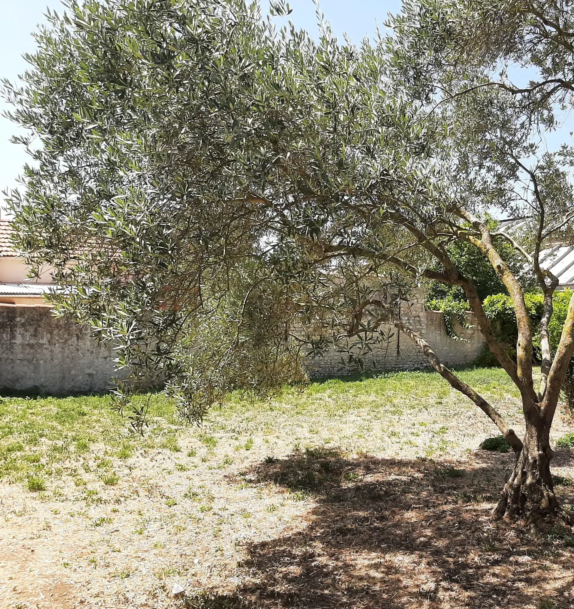 Terrain à bâtir de 330 m² à La Rochelle, emplacement privilégié sur la Pallice 