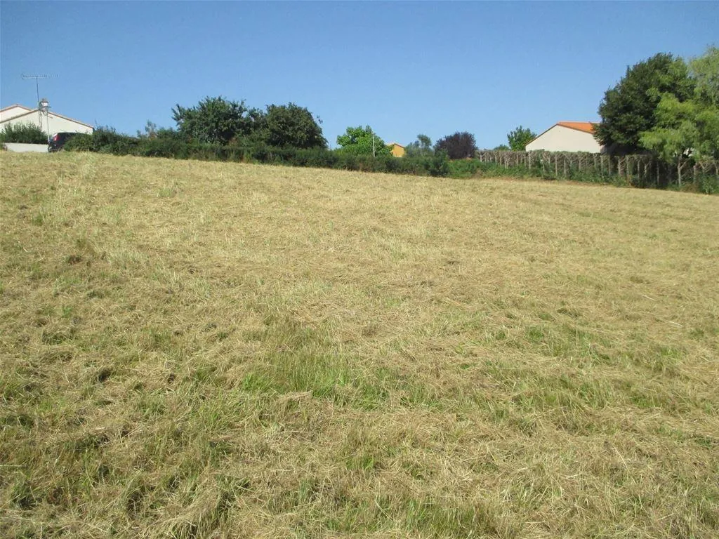 Terrain constructible de 2000m² à La Meilleraie-Tillay - Possibilité de division 