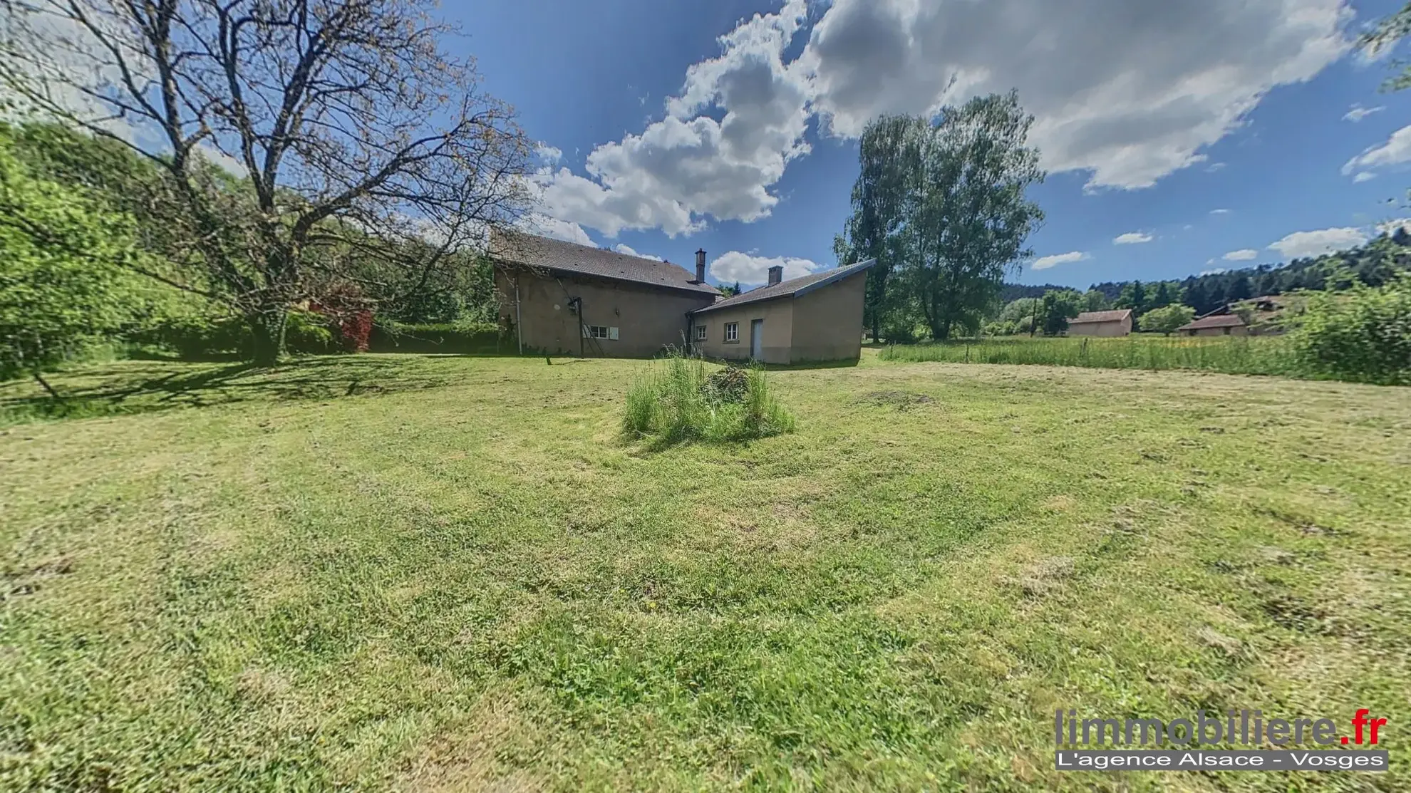 Ferme à vendre à Taintrux - Charme, espace et potentiel dans cadre verdoyant 