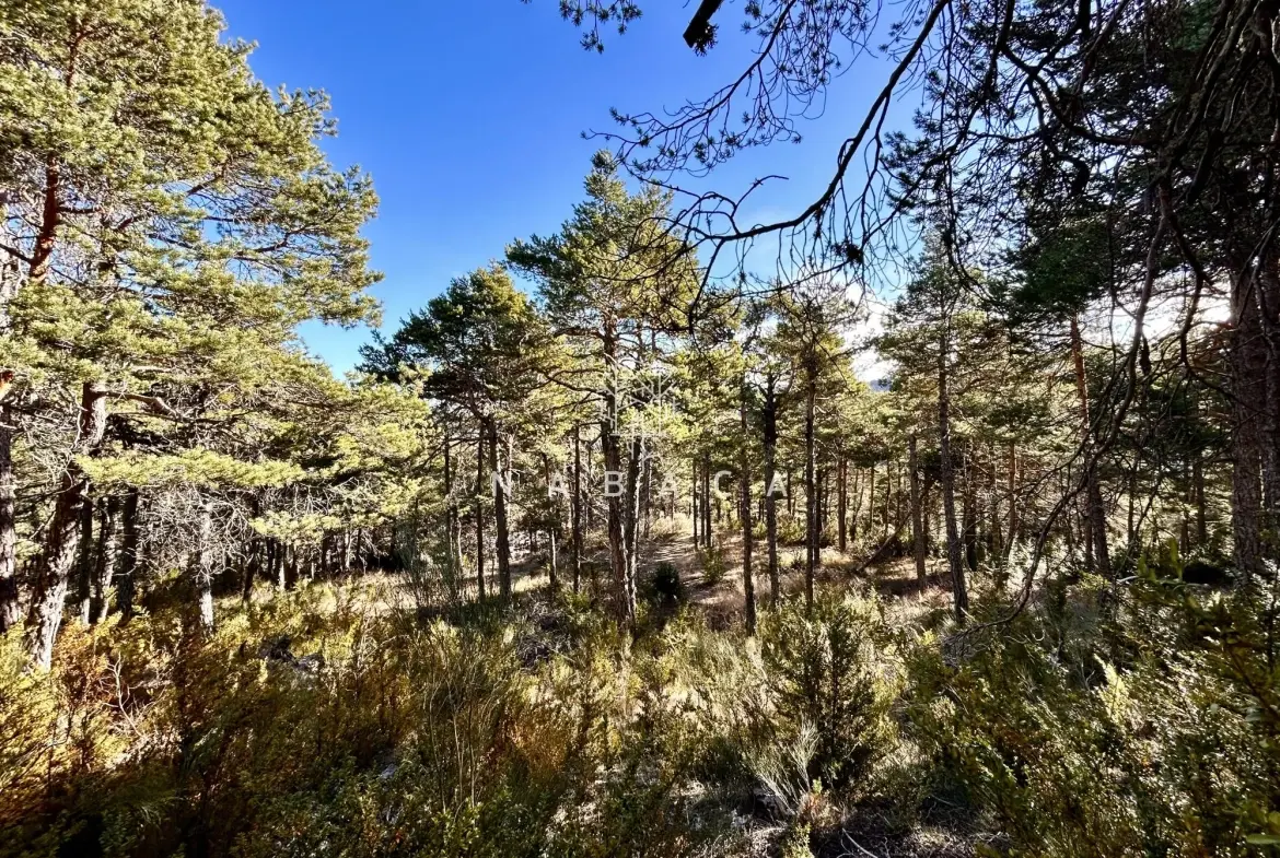 Terrain constructible à vendre à Thorenc, 1896 m² dans environnement naturel 