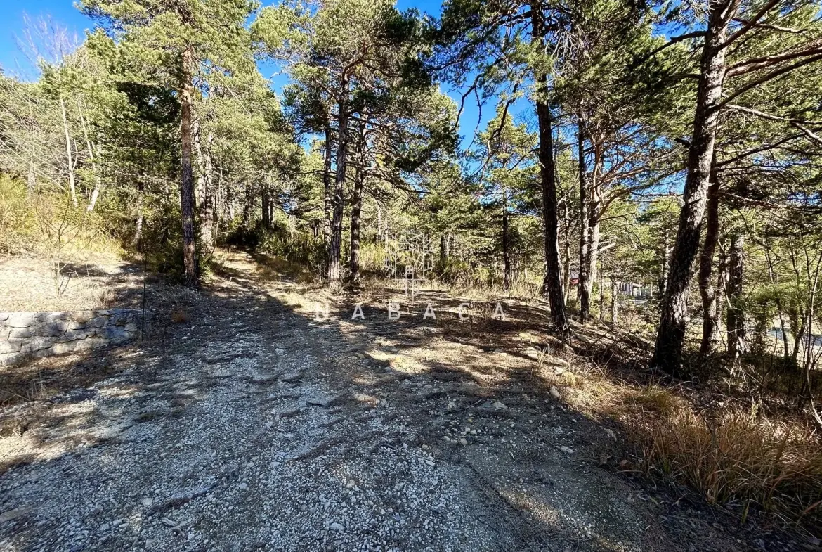 Terrain constructible à vendre à Thorenc, 1896 m² dans environnement naturel 