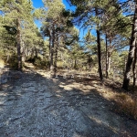 Terrain constructible à vendre à Thorenc, 1896 m² dans environnement naturel