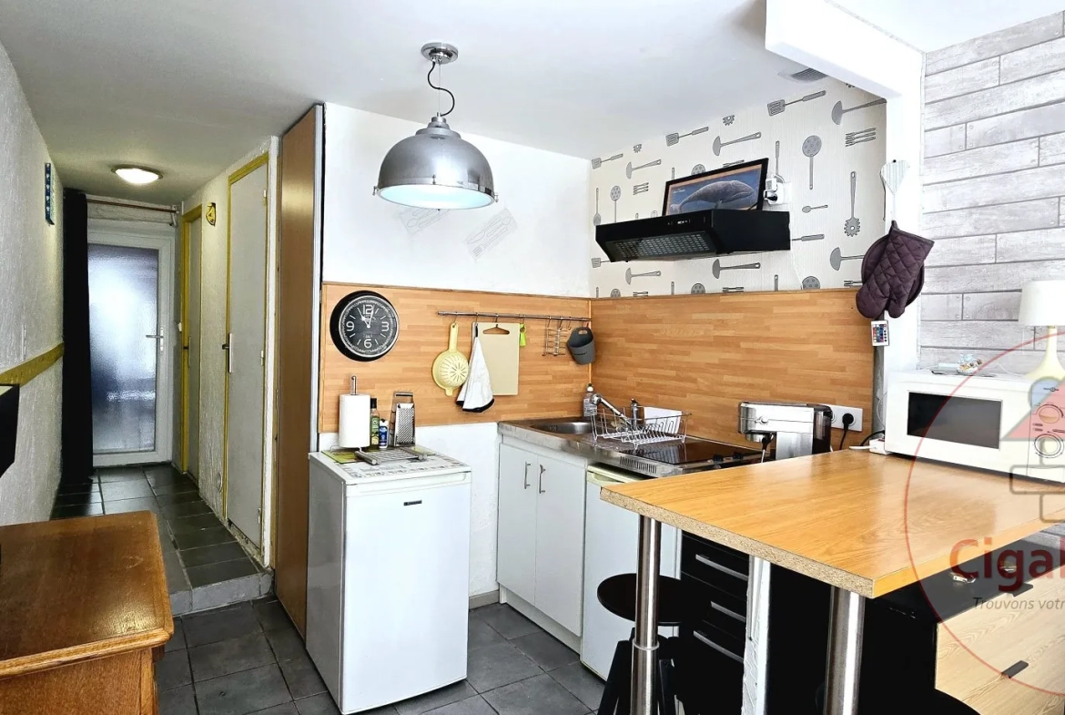 Maison rénovée avec potentiel locatif à La Palme 