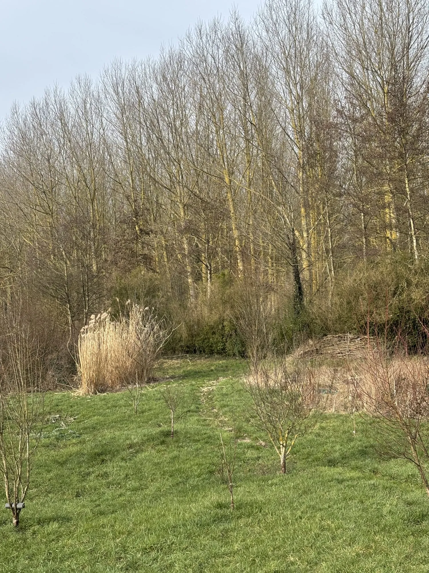 Maison de plain-pied à vendre à Ailly-sur-Noye - Proche gare et commerces 