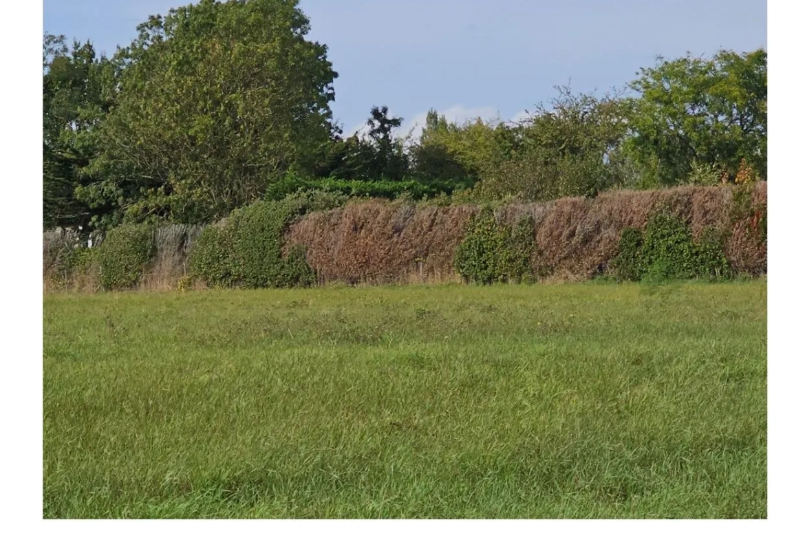 Terrain de 500 m² à proximité de la mer à La Plaine-sur-Mer 