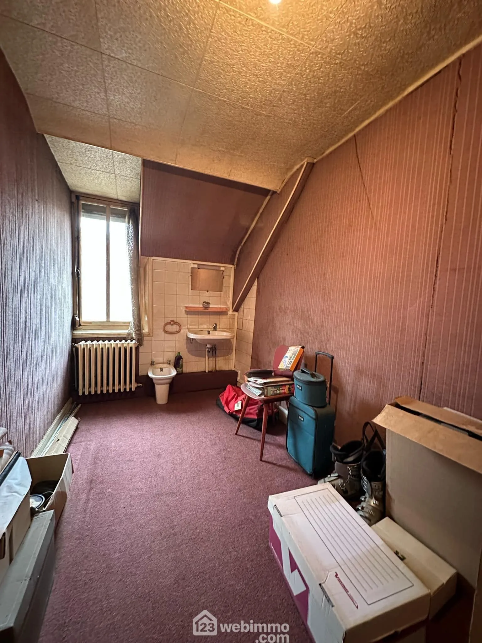 Immeuble de 305 m² à vendre à Crécy-sur-Serre - Opportunité commerciale et résidentielle 