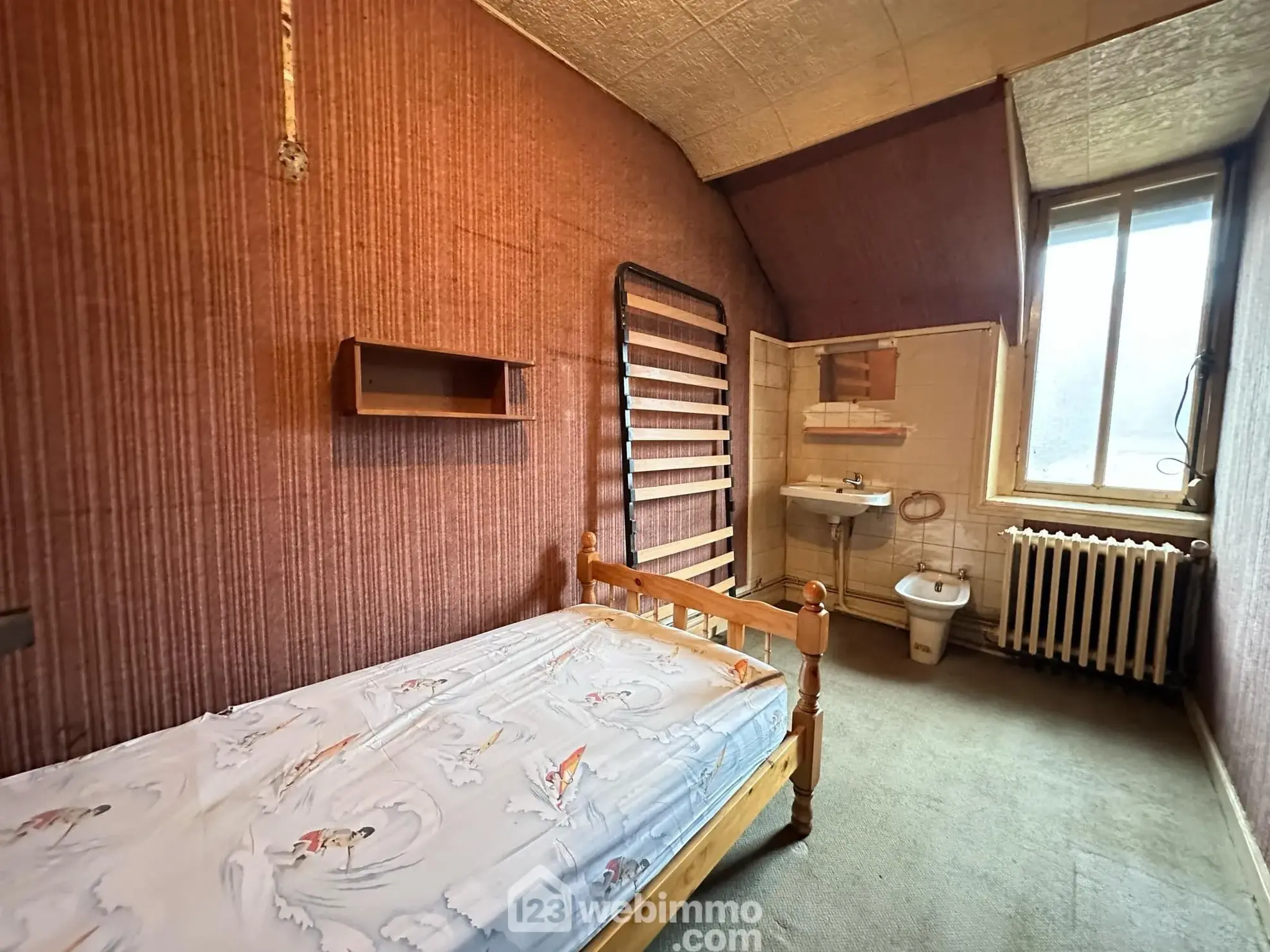 Immeuble de 305 m² à vendre à Crécy-sur-Serre - Opportunité commerciale et résidentielle 