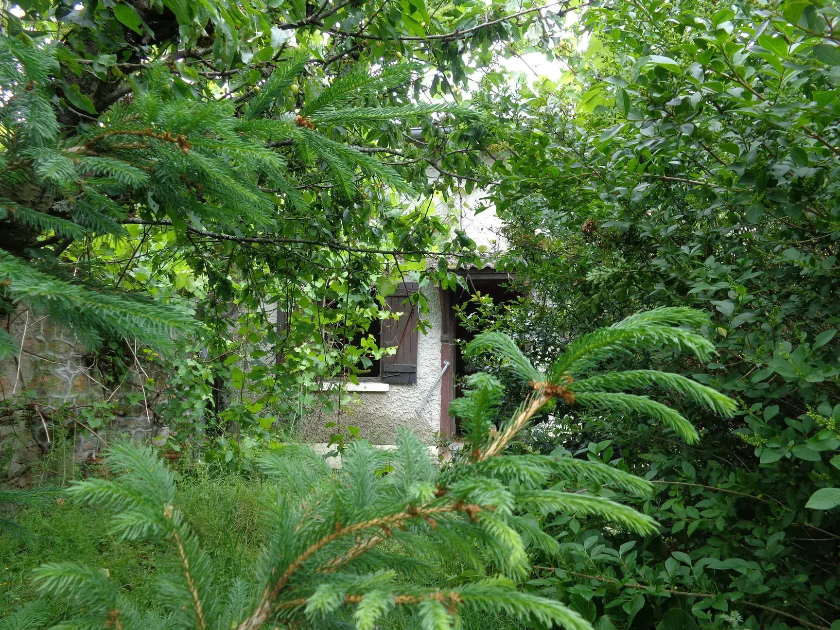 Maison de campagne en pierre avec terrain à Lamure-sur-Azergues - Exposition sud 