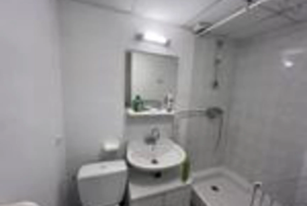 Appartement T1 à Épinal de 18 m² proche de la gare à vendre 