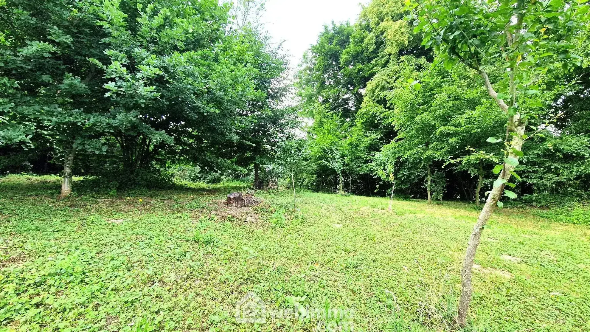 Longère de 236 m² à Dercy avec garage et potentiel d’aménagement 