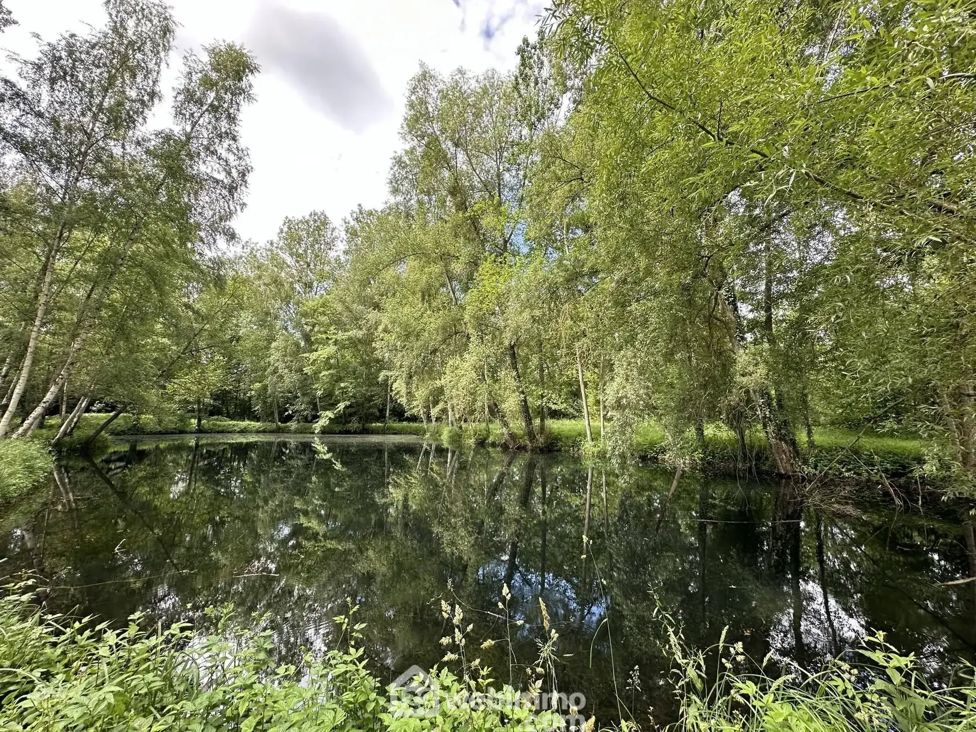 Terrain de loisirs de 11 300 m² à Presles-et-Thierny – Étangs, bâtiment et pâture 
