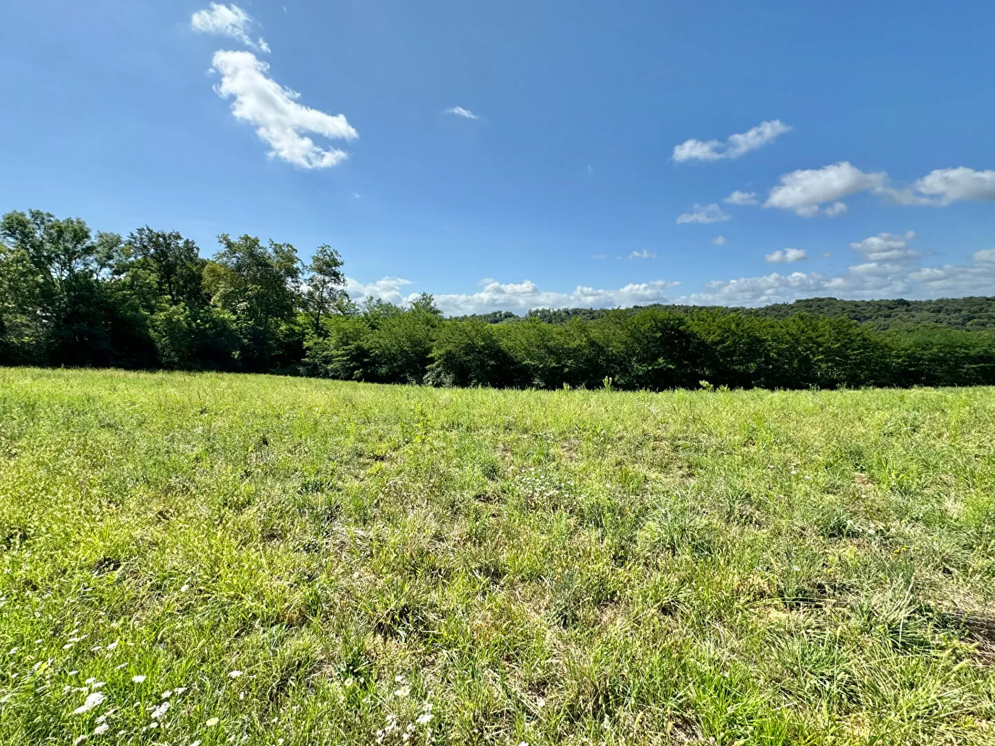 Terrain constructible à Cescau de 2080 m² avec vue exceptionnelle 