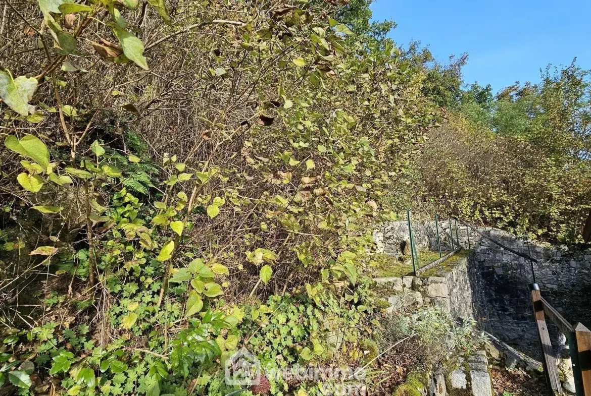 Charmante maison en pierre de 100 m² avec terrain à Milly-la-Forêt 