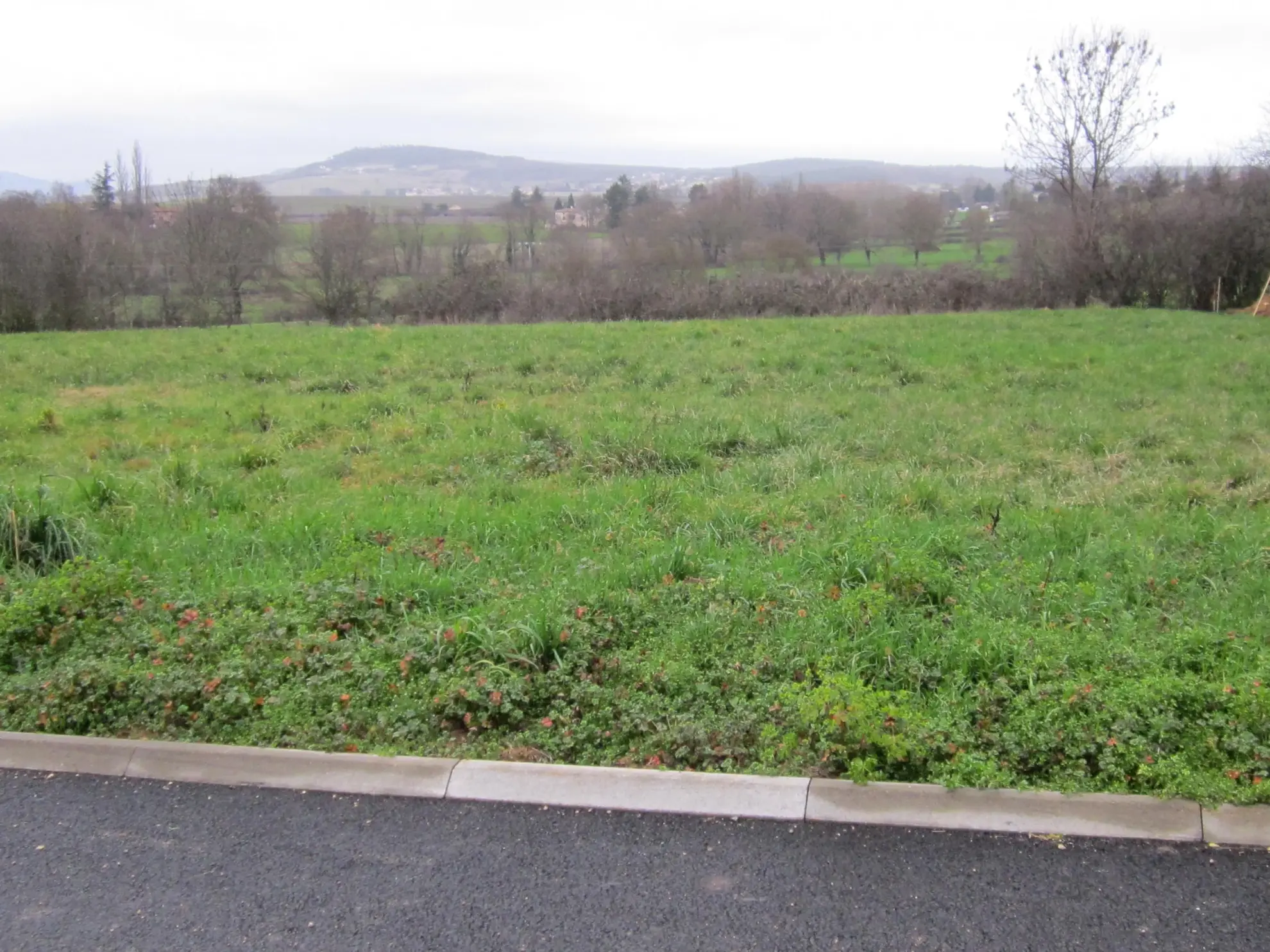 Villa moderne à Charolles sur terrain de 1200 m², conformité RE 2020, plans personnalisés 
