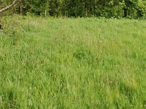 Terrain constructible de 391 m² à Fécamp avec garage et permis de construire accepté
