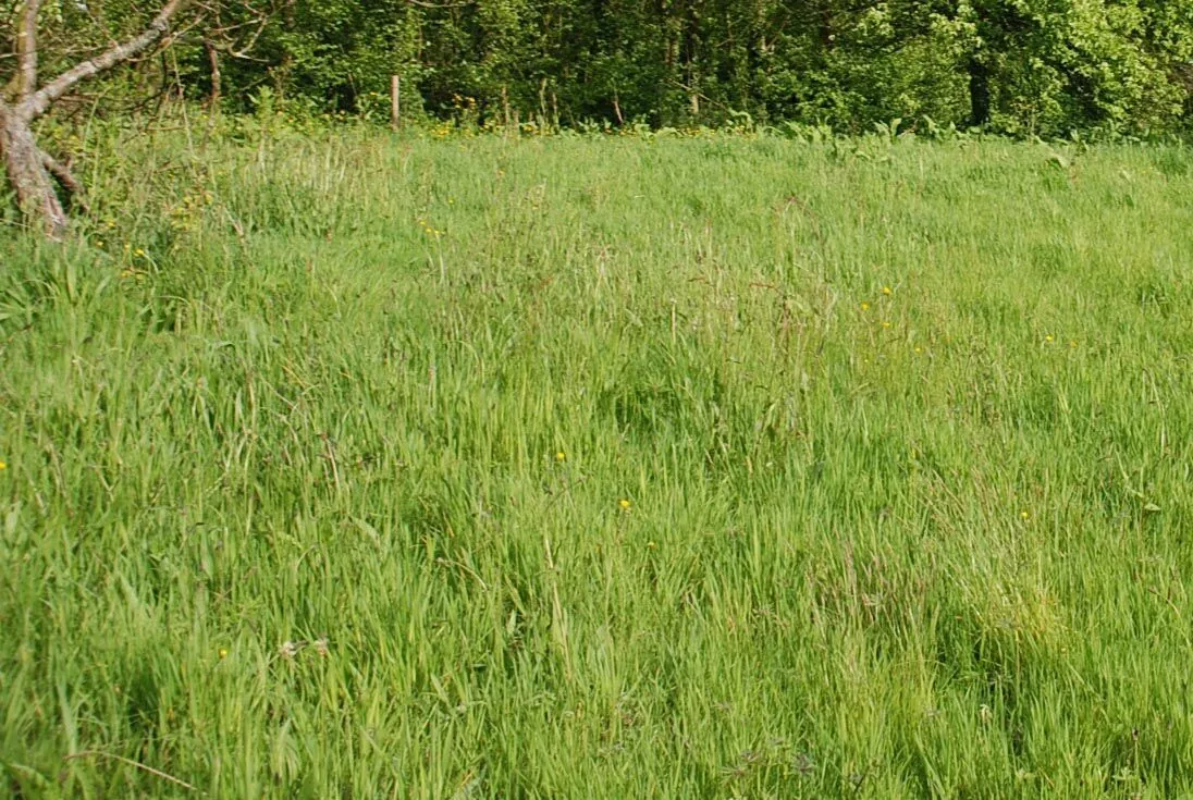 Terrain constructible de 391 m² à Fécamp avec garage et permis de construire accepté 