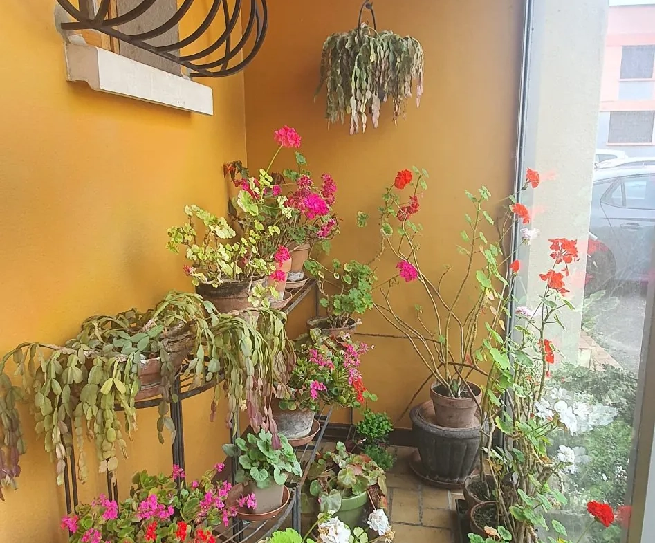 Maison à vendre à Chenôve de 85 m² avec jardin et garage - Excellente opportunité 