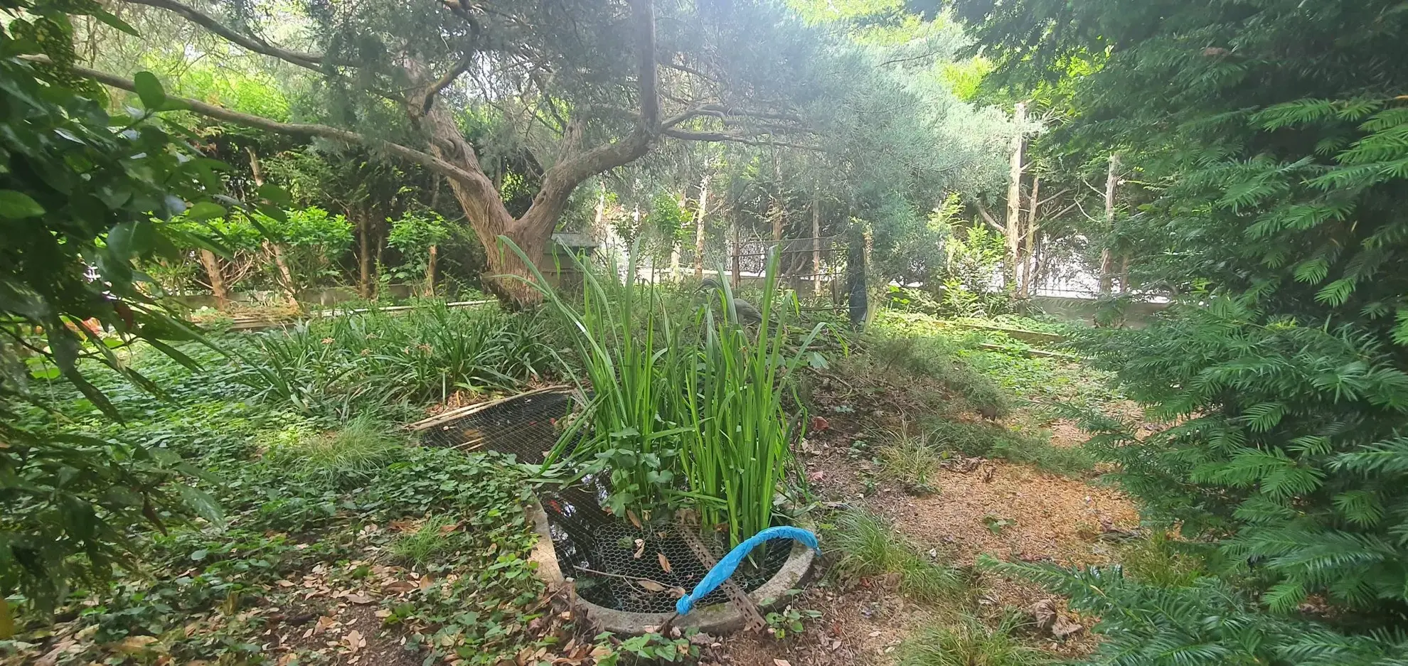 Maison à vendre à Chenôve de 85 m² avec jardin et garage - Excellente opportunité 