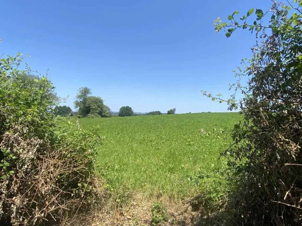 Propriété en pierre à Châteauneuf-la-Forêt avec terrain et dépendances 